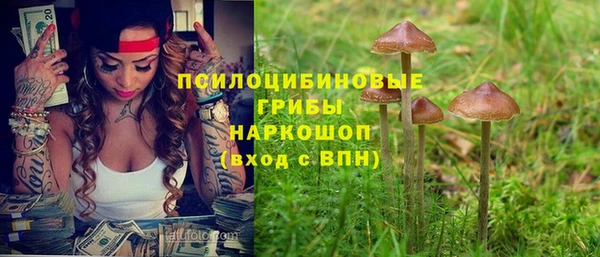 ALPHA PVP Волоколамск